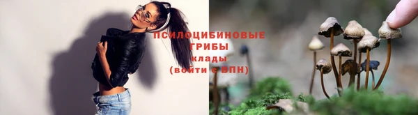 бутират Арсеньев
